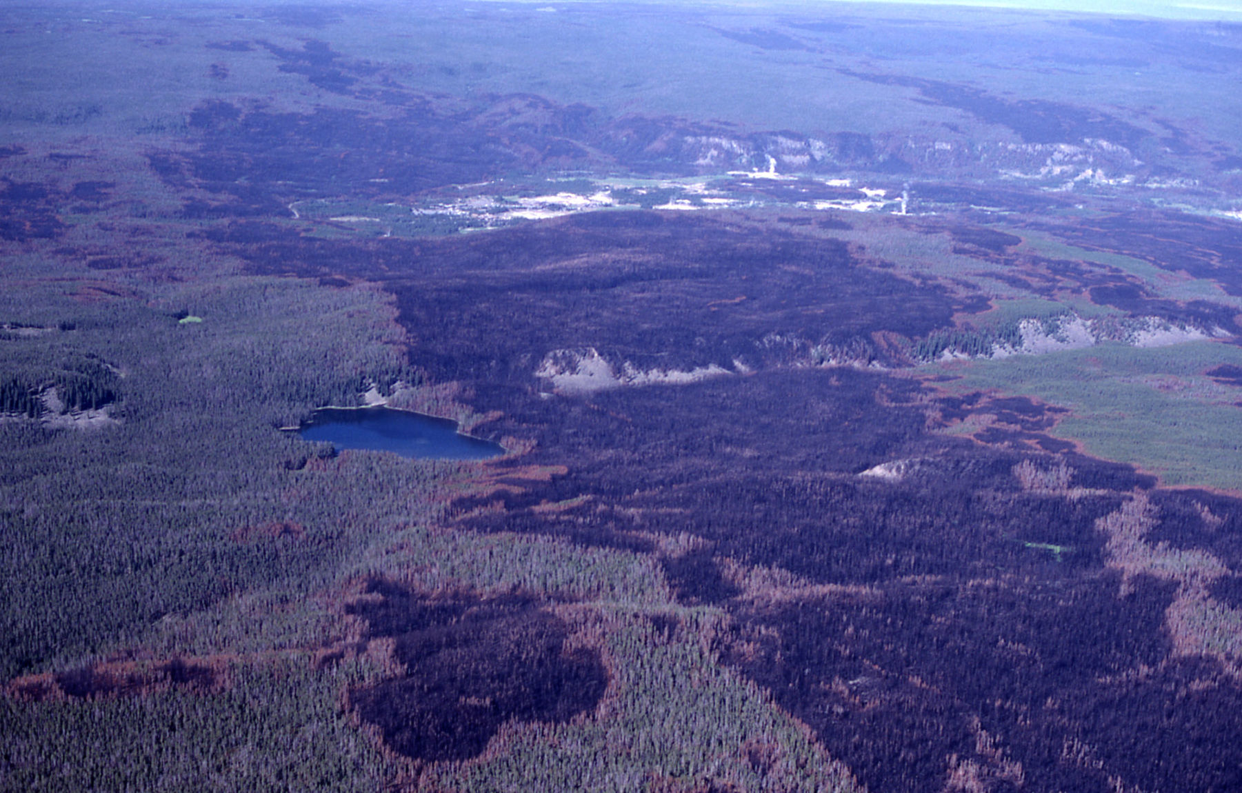 Burn pattern in Upper Geyser Basin, 1989